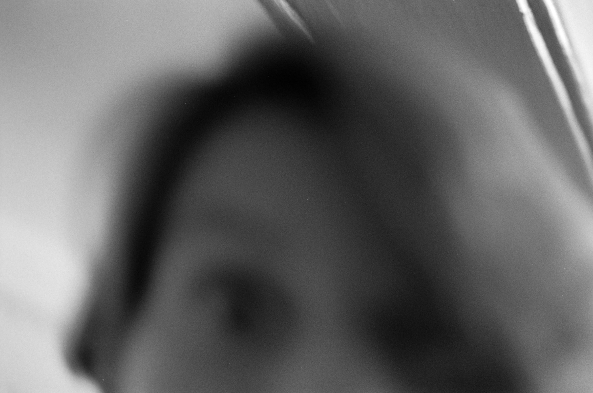 AHP F1995 10 003 sc240815 img02 NLP